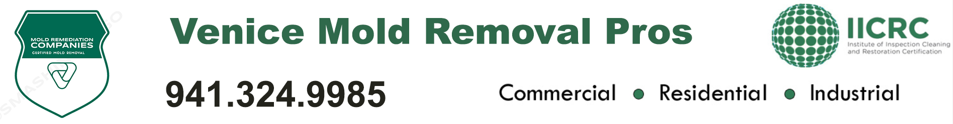 Venice Mold Removal Pros