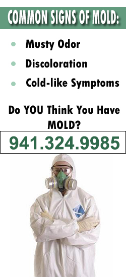 Venice Mold Remediation Contractor